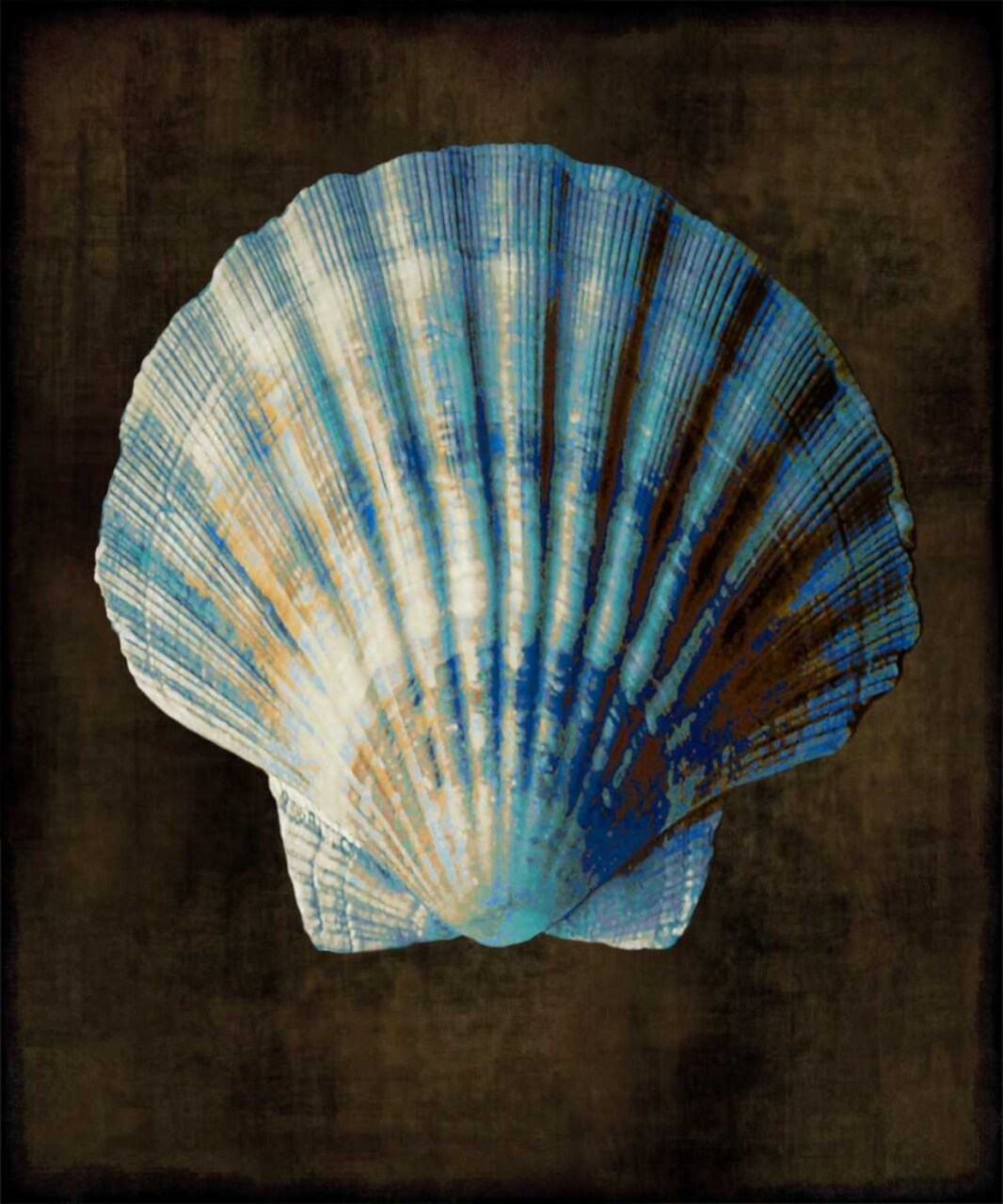 Ocean Treasure II Poster Print by Caroline Kelly # CKL111449DG